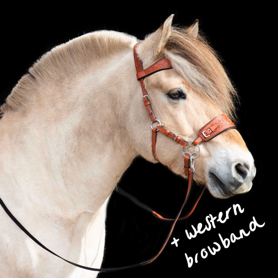Jack western hackamore 
