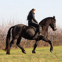 Load image into Gallery viewer, Dardo Glitter barebackpad
