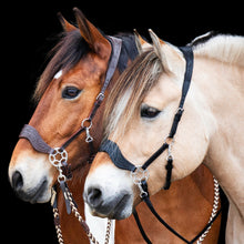 Load image into Gallery viewer, Limited edition hackamore
