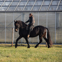 Load image into Gallery viewer, Amber sidepull gold and rosegold
