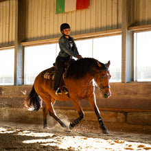 Load image into Gallery viewer, sidepull, bitloos, western, hoofdstel, reining, bruin, bitless, bridle, sidepull bridle
