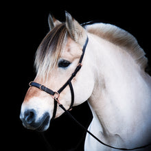 Load image into Gallery viewer, Cavesson kaptoom sidepull in 1 logeren grondwerk hoofdstel bitloos bitless multi bridle hoofdstel ringen op de neus bruin rose
