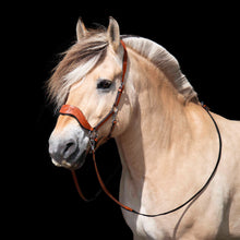 Load image into Gallery viewer, Limited edition hackamore cognac + mocca

