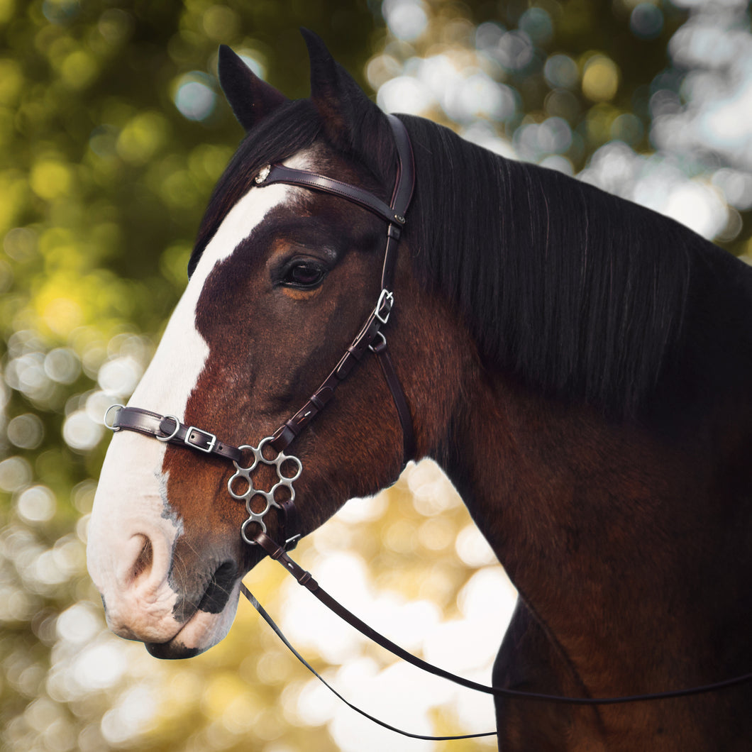 Caval cavemore bridle brown