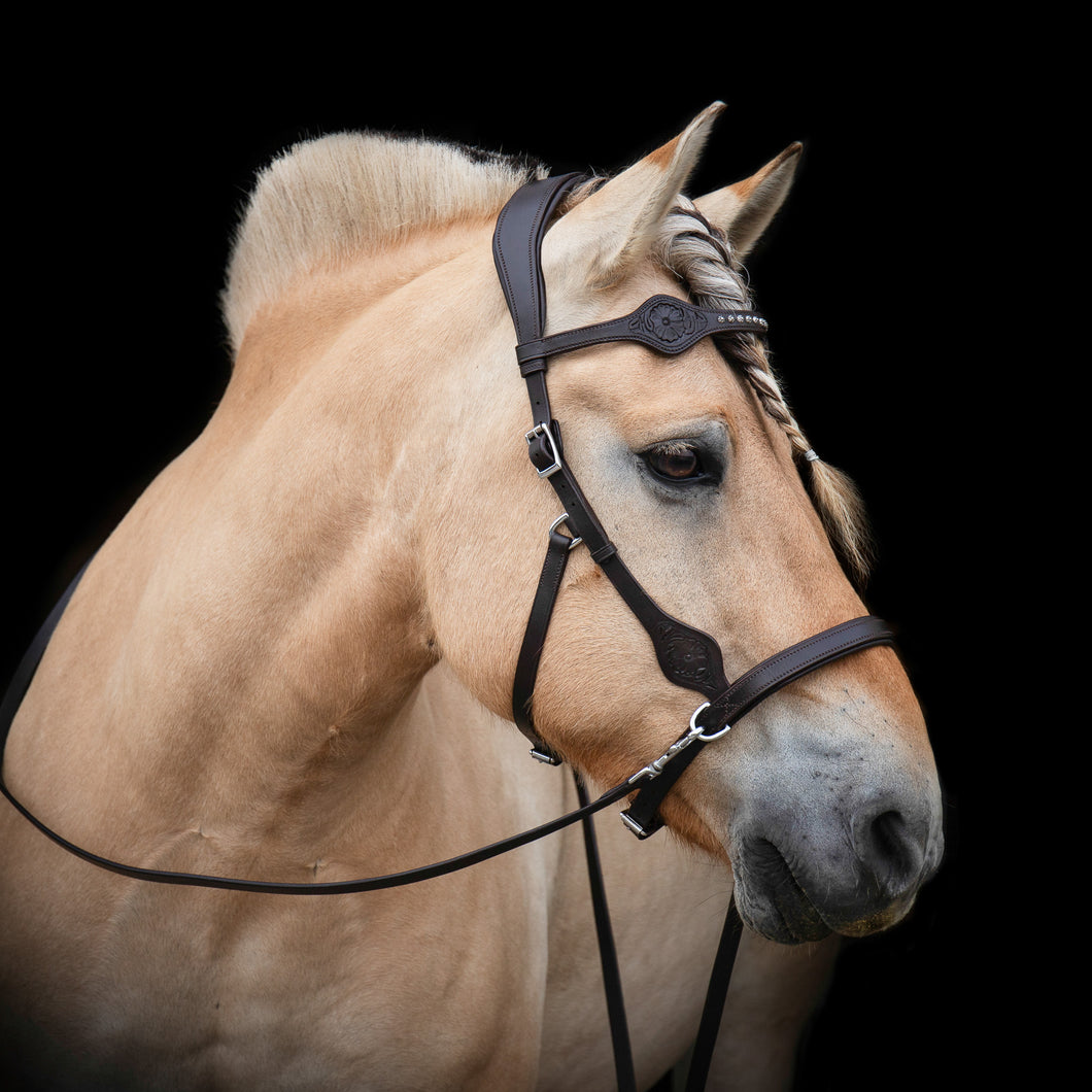 Dandy western sidepull donkerbruin