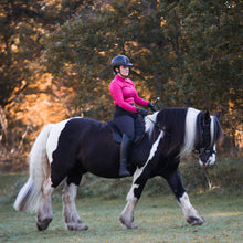 Load image into Gallery viewer, Imperial hackamore black silver
