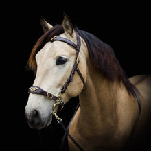 Load image into Gallery viewer, Imperial hackamore brown gold
