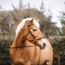 Load image into Gallery viewer, Imperial hackamore brown gold
