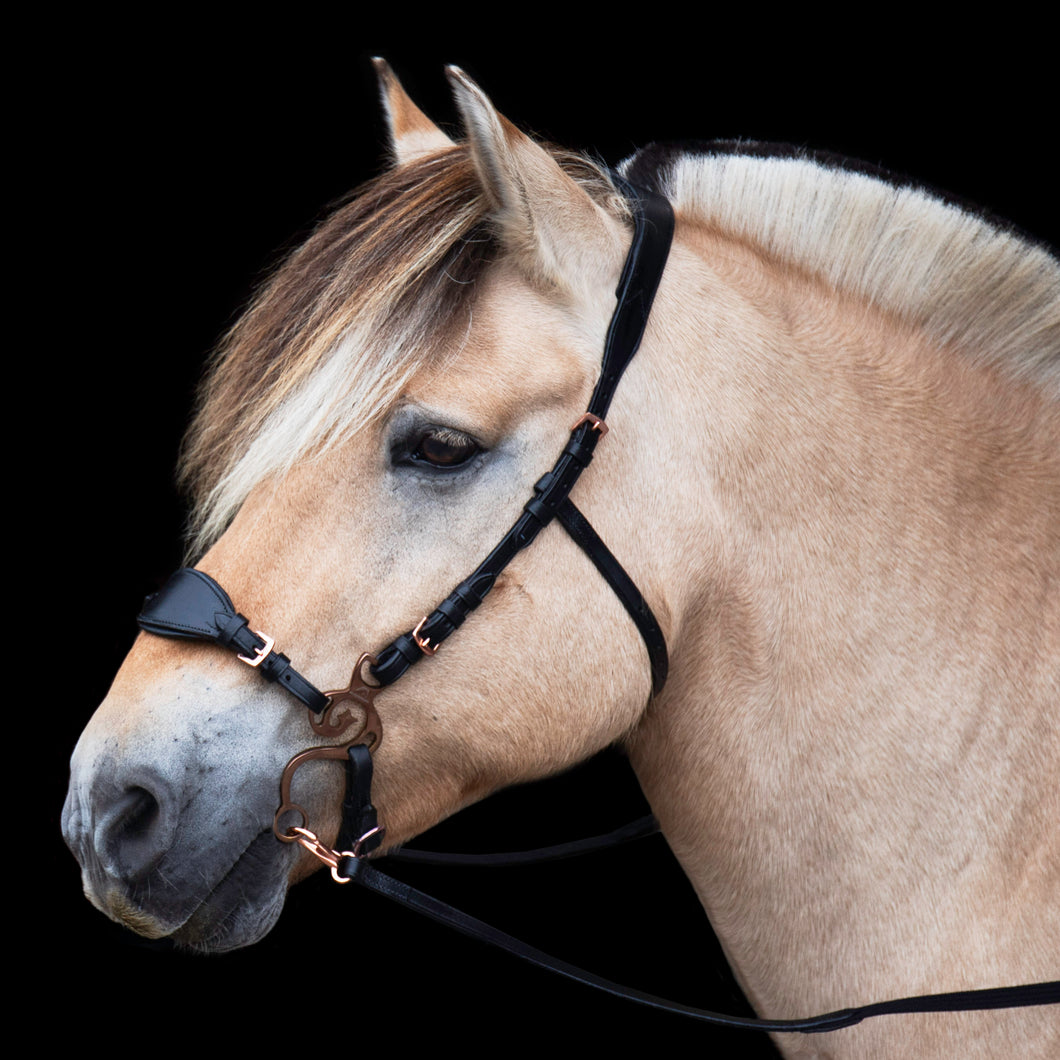 Rosegold music special cob