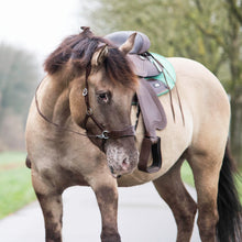 Load image into Gallery viewer, Havana 2.0 western sidepull
