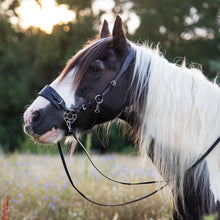 Afbeelding in Gallery-weergave laden, Jack western hackamore 
