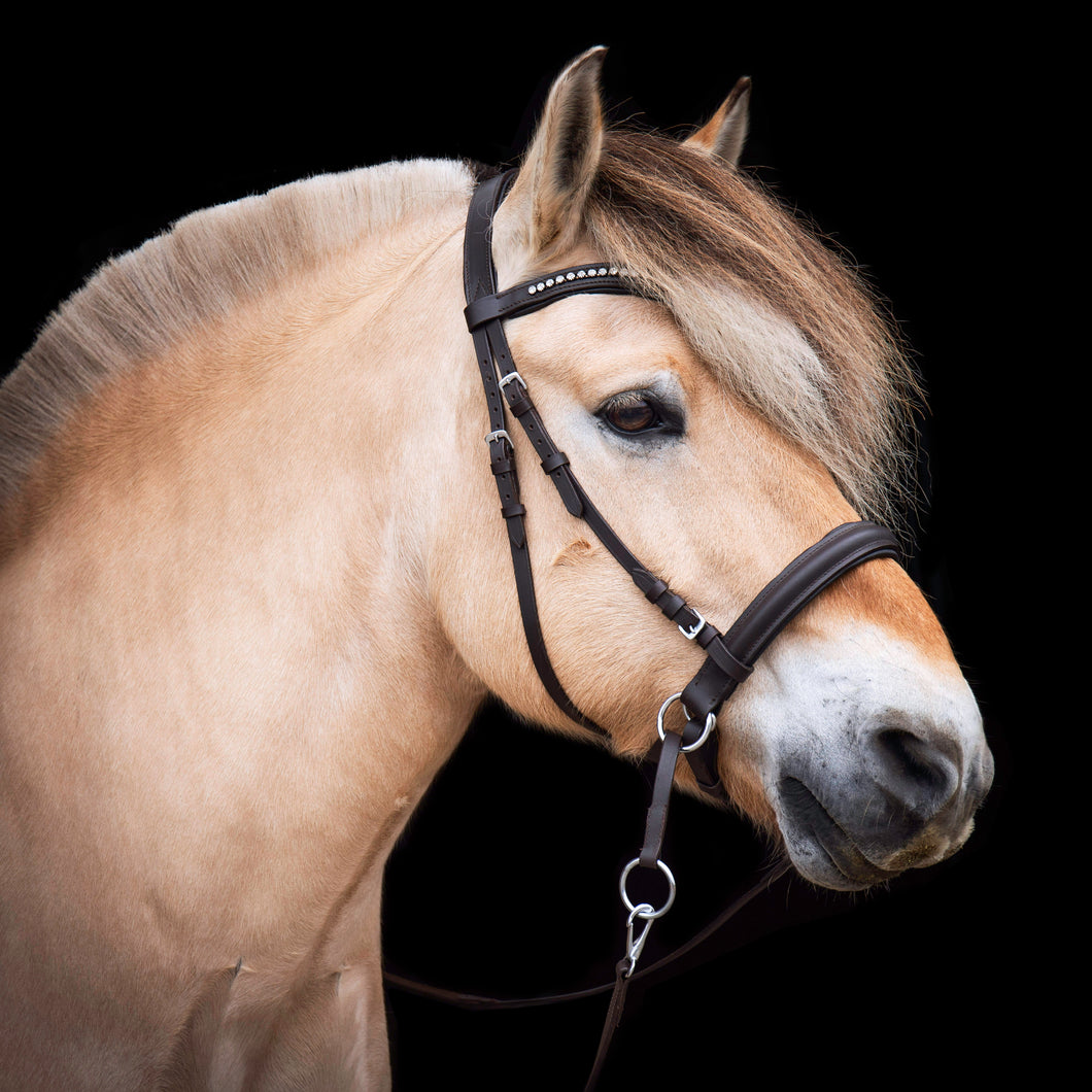 Tinus cheekcross brown