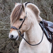 Load image into Gallery viewer, Jack braided leather reins
