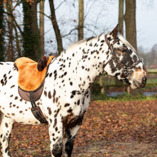 Load image into Gallery viewer, Macon extra barebackpad Merinowool brown
