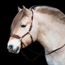 Load image into Gallery viewer, Havana western sidepull Black + Mocca
