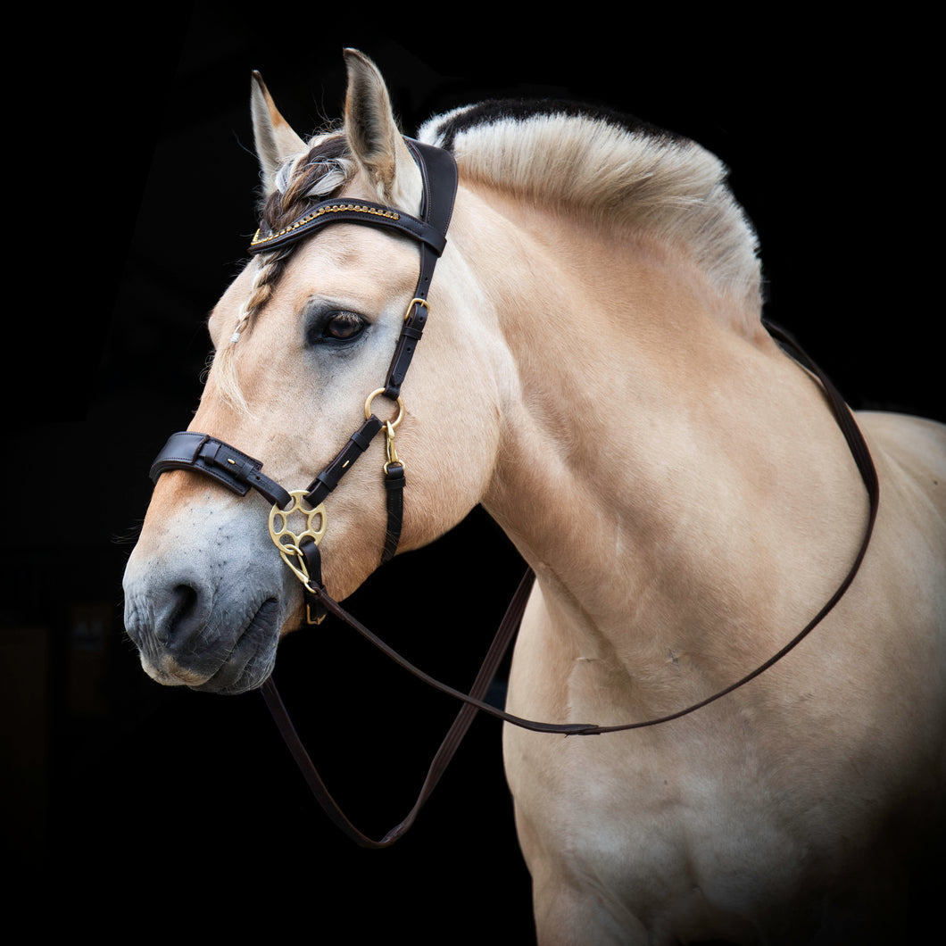 Padar hackamore brown gold