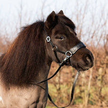 Load image into Gallery viewer, Havana western sidepull Black + Mocca
