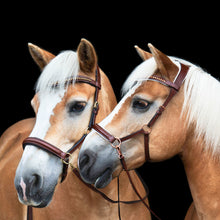 Load image into Gallery viewer, Amber mocca gold + rosegold sidepull
