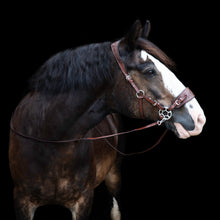 Load image into Gallery viewer, Jack western hackamore mocca brown + cognac
