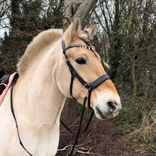 Load image into Gallery viewer, Crown Jewel browband rosegold
