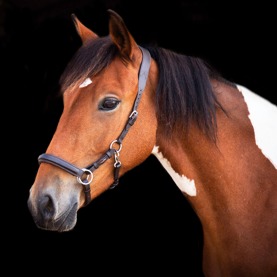 Pony size brow sidepull bridle