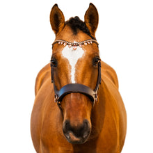 Load image into Gallery viewer, Stakato sidepull brown size Full

