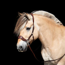 Load image into Gallery viewer, Limited edition hackamore cognac + mocca
