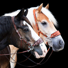Load image into Gallery viewer, Jack western hackamore mocca brown + cognac

