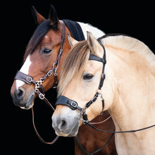 Load image into Gallery viewer, Guusje hackamore bridle

