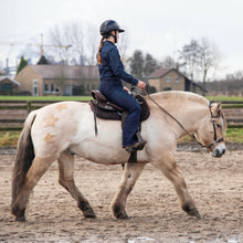 Load image into Gallery viewer, Bram one ear hackamore
