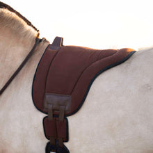 Load image into Gallery viewer, MD basic Dardo barebackpad bruin zonder zadel bareback goedkoop pony paard maat 
