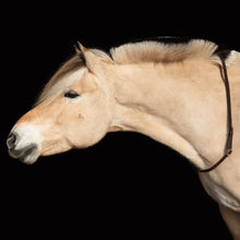 Load image into Gallery viewer, neckrope horse riding paard bitless bitloos adjustable nalanta bruin
