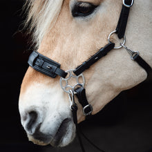 Load image into Gallery viewer, springen dressuur paard pony shetlander Tico hackamore hoofdstel ster bitless bitloos anatomisch 
